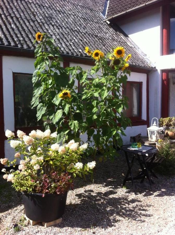 Bed and Breakfast Praestogaard Exteriér fotografie