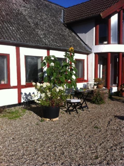 Bed and Breakfast Praestogaard Exteriér fotografie